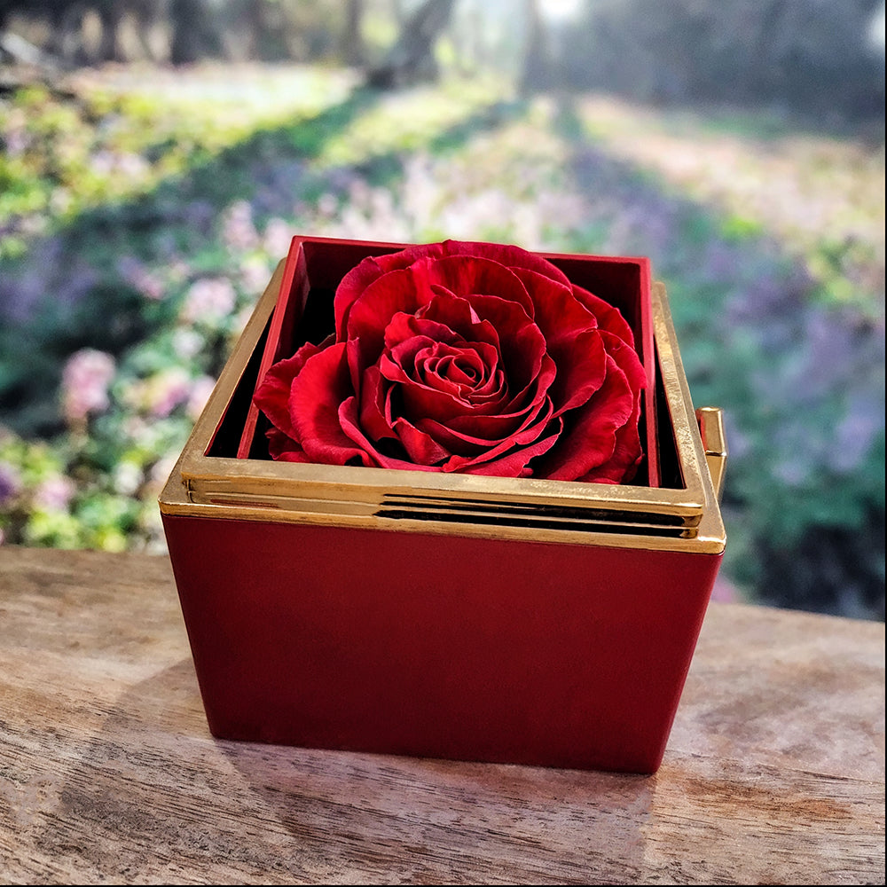 To My Beautiful Wife | Love knot Necklace | Rotating Rose Gift Box