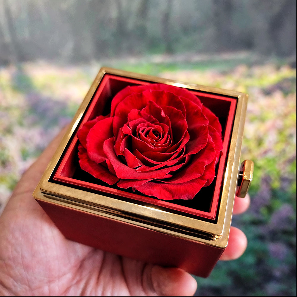 To My Beautiful Wife | Love knot Necklace | Rotating Rose Gift Box